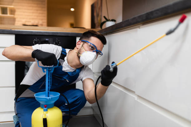 Trusted Haworth, NJ Pest Control Experts