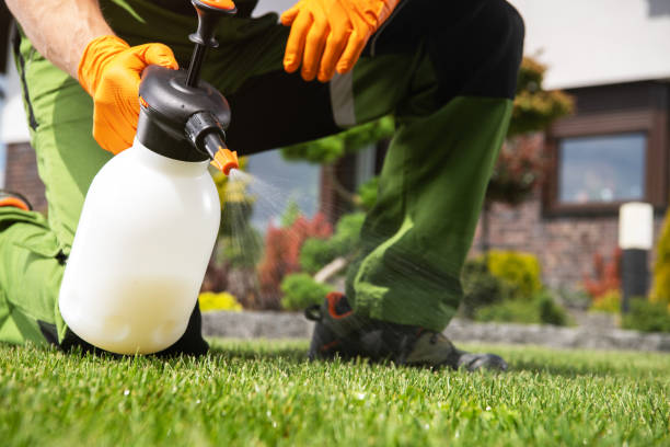 Best Termite Control Services  in Haworth, NJ