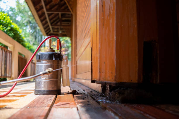 Best Wasp Removal Services  in Haworth, NJ