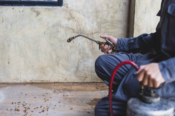 Best Wasp Removal Services  in Haworth, NJ