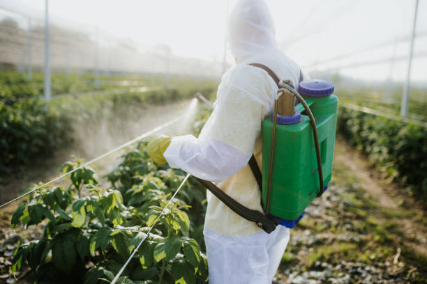 Best Local Pest Control Services  in Haworth, NJ